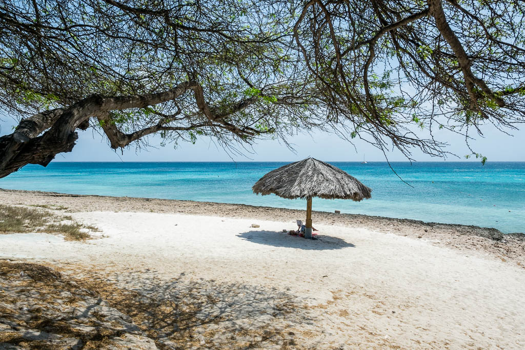 Strand Boca Catalina mit Palmen auf Aruba mit Sonnenschirm