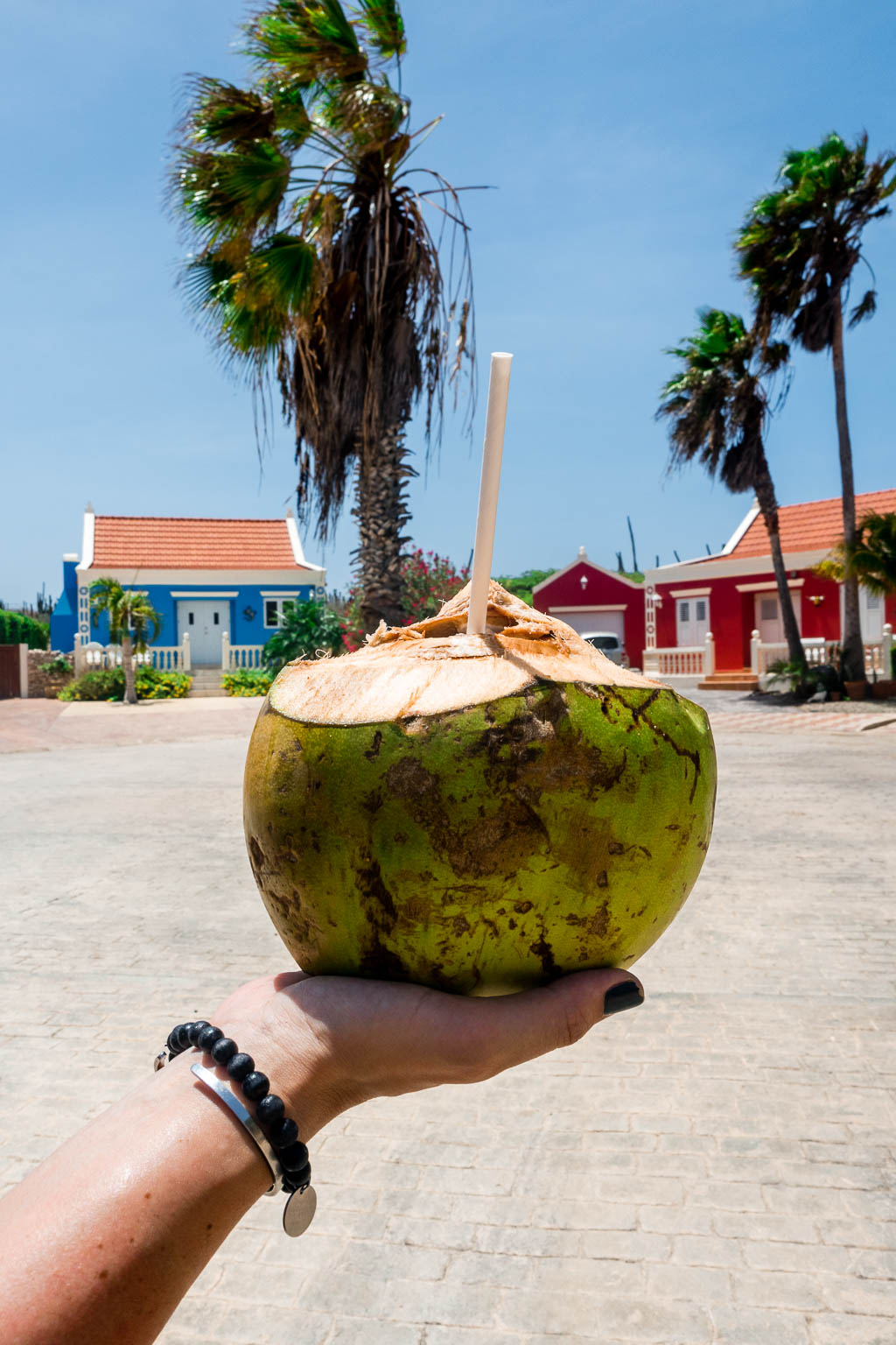 Kokosnuss Aruba