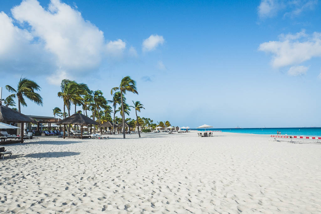 Blick auf den Palm Beach auf Aruba (Strand mit Palmen)