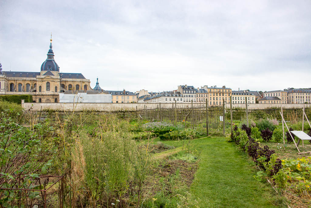 Potager du Roi (Küchengarten) 12 Sehenswürdigkeiten und Tipps für eine Reise nach Versailles