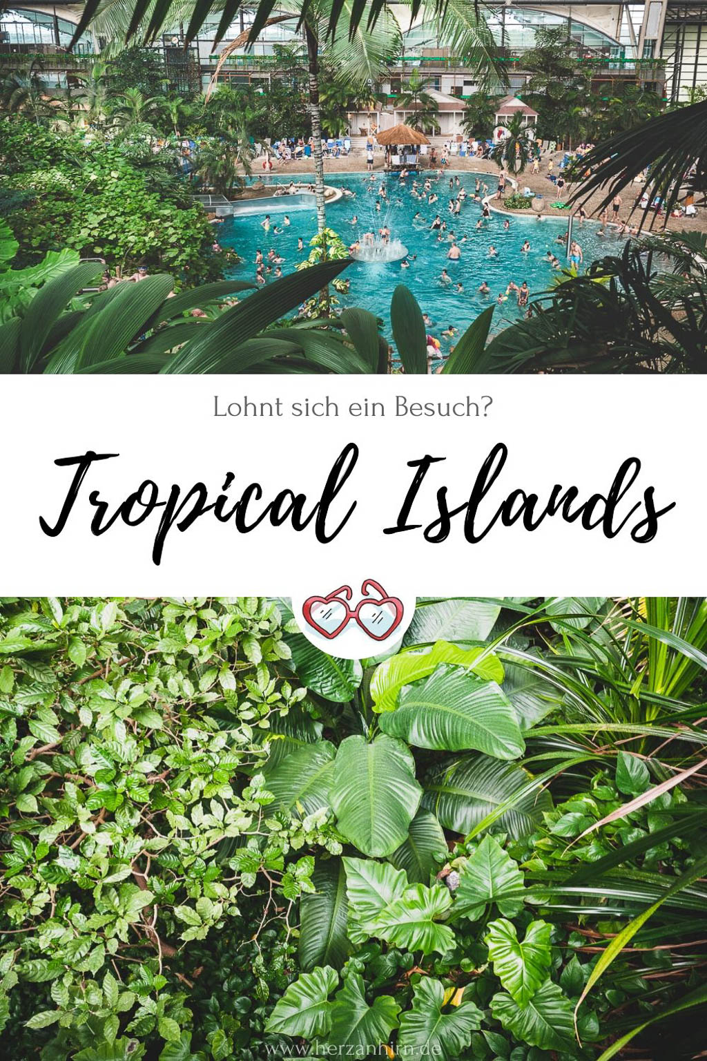 Pinterest Grafik Tropical Islands