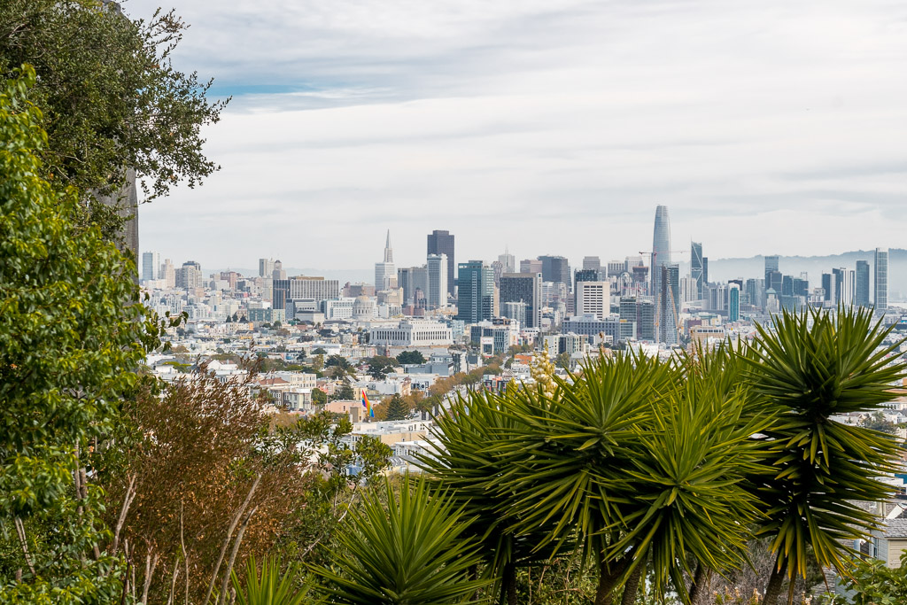 Skyline San Francisco in 3 Tagen aktiv entdecken – Reisetipps, Highlights und besondere Aktivitäten