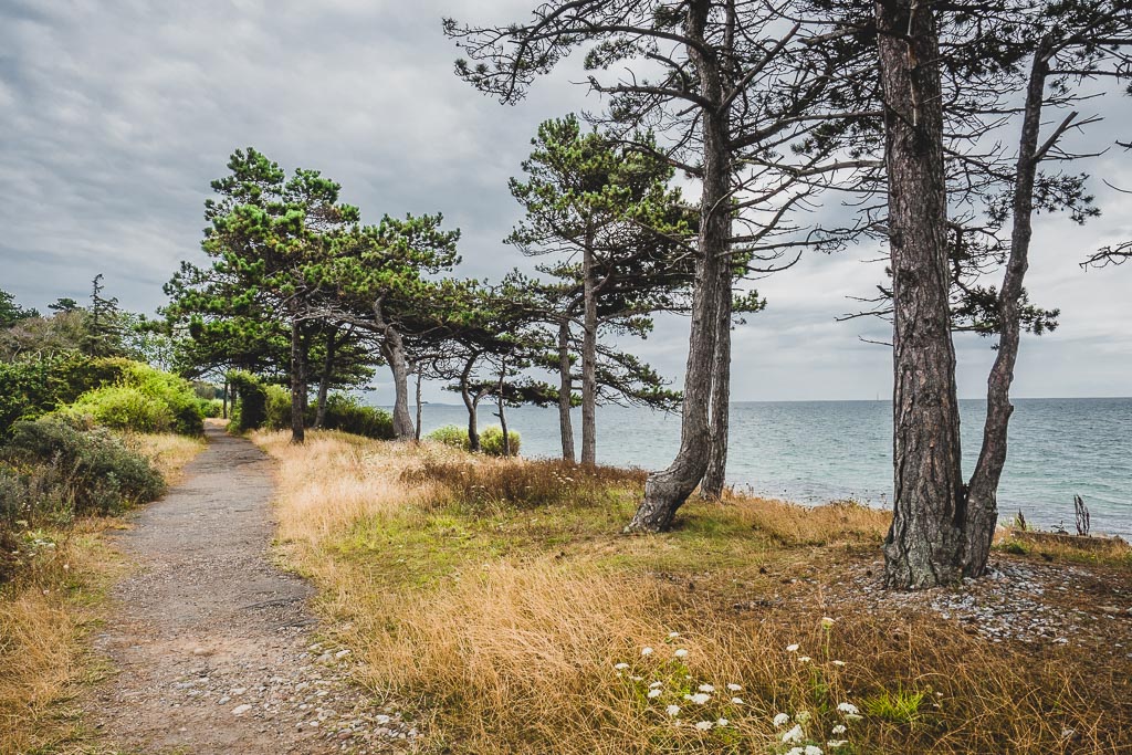 Strand am Sletterhage Leuchtturm in Dänemark Urlaub in Djursland: Ausflugsziele und Sehenswürdigkeiten rund um Ebeltoft Dänemark