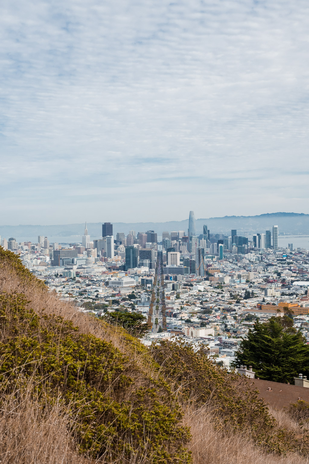 Aussicht vom Christmas Tree Point auf den Twin Peaks Urban Hike – wandern in San Francisco San Francisco in 3 Tagen aktiv entdecken – Reisetipps, Highlights und besondere Aktivitäten